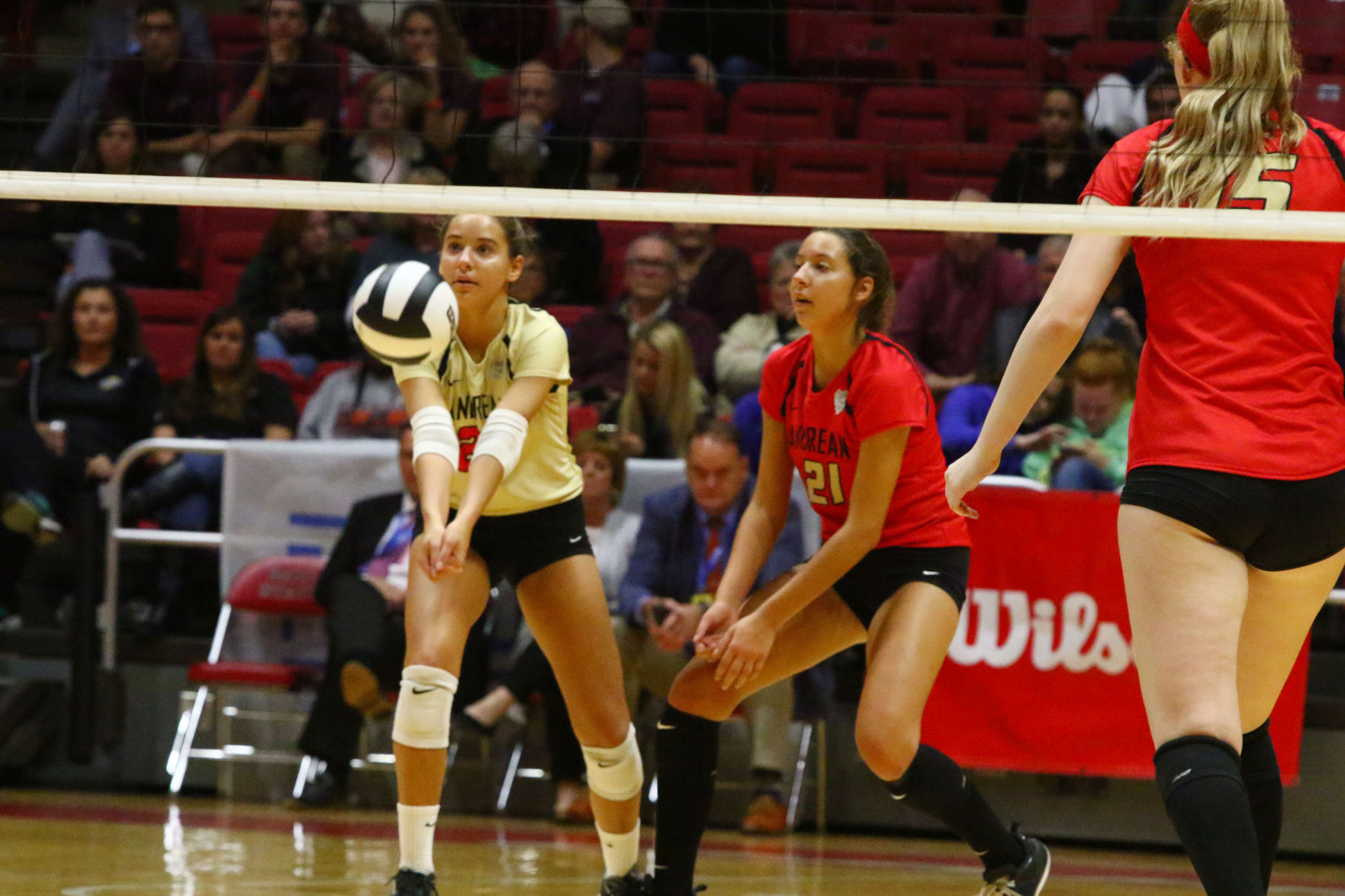 Volleyball Class 2A State Finals - Andrean vs. Christian Academy of Indiana